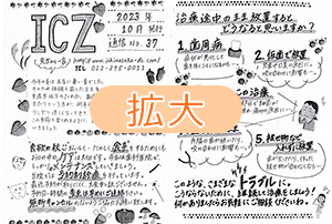 ICZ通信　No.37