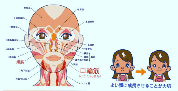 よい歯に成長させよう